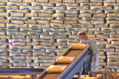 Casi 300.000 toneladas de azúcar perderá Tucumán por las heladas