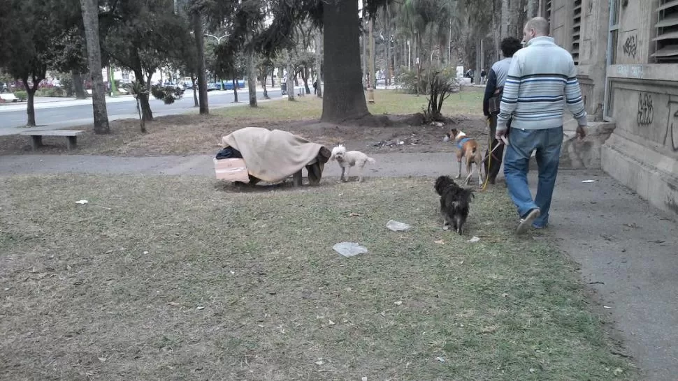 TAPADO HASTA LAS OREJAS. Cerca del mediodía, uno de los moradores del jardín todavía no se había despertado. Los perros huelen sus pies y pasan. LA GACETA / FOTOS DE JORGE OLMOS SGROSSO - MAGENA VALENTIE