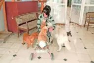 La Madre Teresa de los animales abandonados