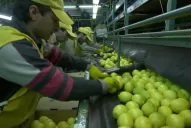 Una forma de luchar contra el trabajo temporal