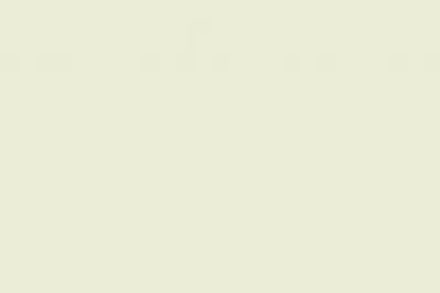 Celebración y ajetreo