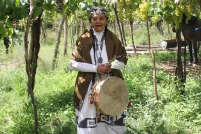 La Pachamama está internada