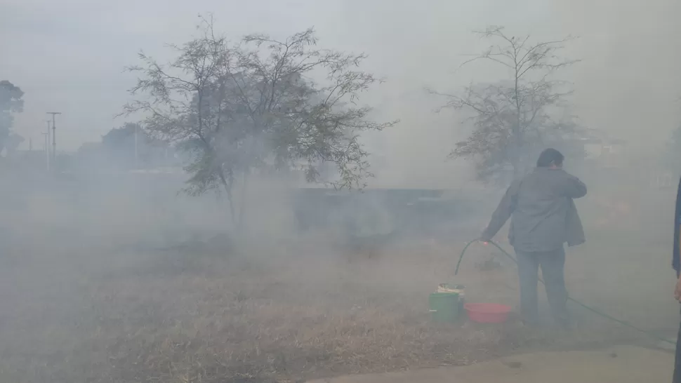 FOTOS ENVIADAS POR UN LECTOR