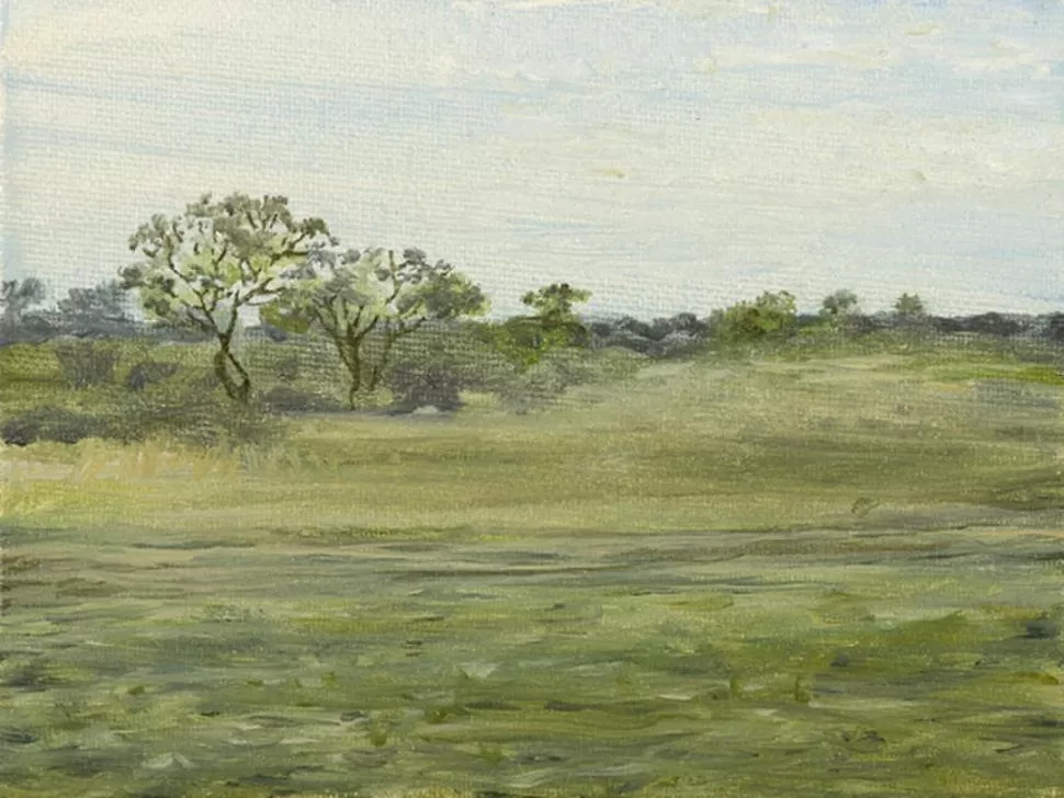 UNA MIRADA DE SANTIAGO. Una de las obras de Mercedes Arnedo.  PRENSA CENTRO CULTURAL VIRLA