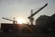 Con heladas, ya se completó casi un tercio de la zafra 2012