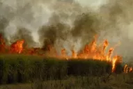 El incendio de un cañaveral generó alarma en el barrio Lomas de Tafí