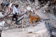 Explosión en Rosario: Bonfatti prometió ayuda para las familias damnificadas