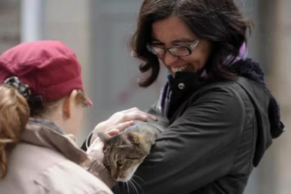 Seis días después de la explosión en Rosario, encontró a su gata bajo la cama