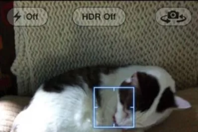 Facebook y los smartphones cambiaron la forma de tomar fotos