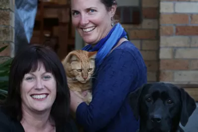 Un gato se salvó de la muerte con sangre donada por un perro