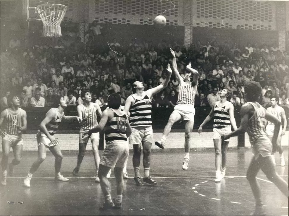 LEYENDA. Héctor Pertot (12), símbolo cebra, en un partido contra Alberdi. 