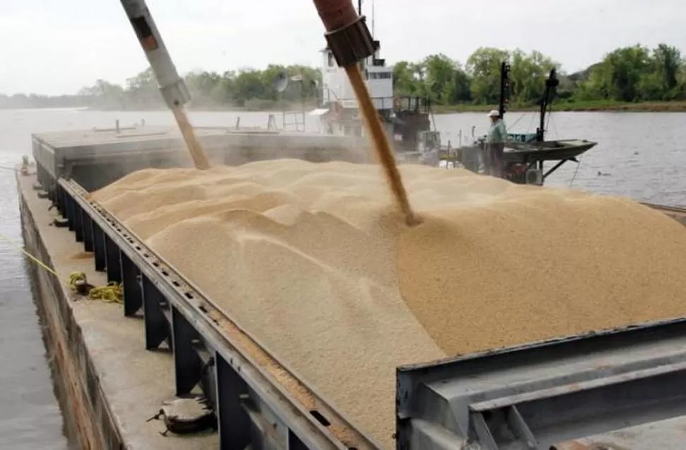 CRECIMIENTO. El agro sigue siendo el gran motor de la economía argentina. COMPACTONEA.COM.AR