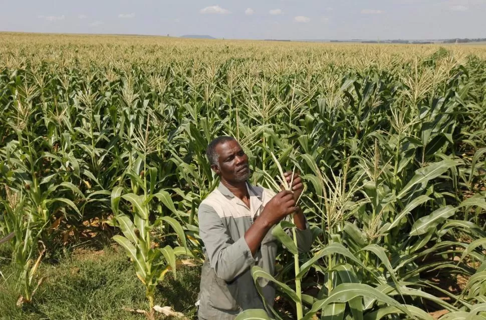 EN AYUDA. Nuestro país llevará técnicos y tecnología al mundo africano. REUTERS