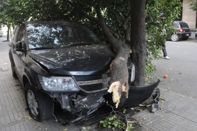 Doblaron en contramano y se tragaron un árbol