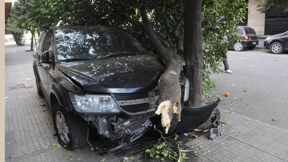 CONSECUENCIAS. La parte frontal de la camioneta Dodge quedó destruida y el árbol fue arrancado. LA GACETA / ANTONIO FERRONI