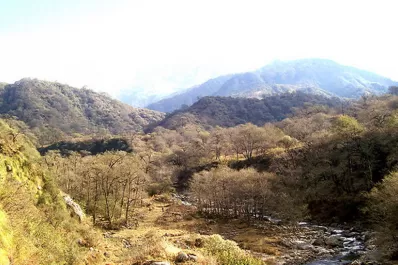 Un incendio en la Quebrada del Portugués genera preocupación