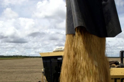 Estiman en un 4,6% el crecimiento de la producción de soja