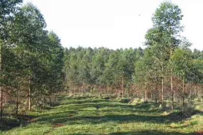 Los fondos nacionales llegan con retraso, pero el Estado provincial apuesta al futuro de Tucumán