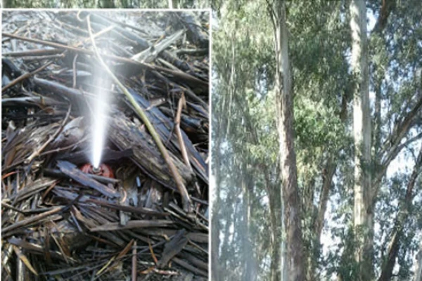 Por una válvula rota se pierden litros y litros de agua en San Javier