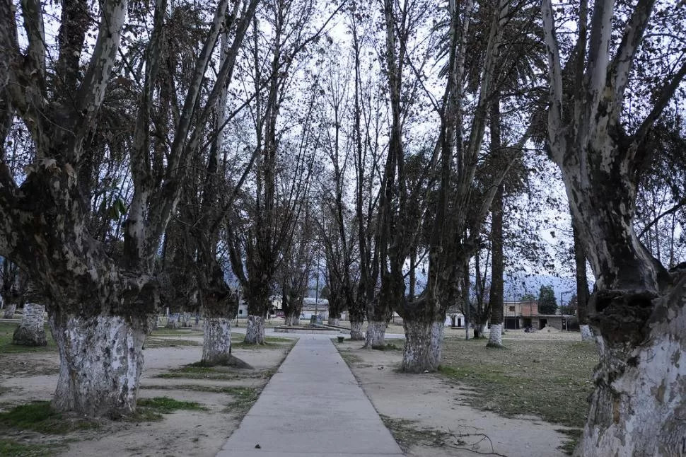 ZONA PELIGROSA. La Plaza Vieja de Yerba Buena es elegida por ladrones. LA GACETA / FOTO DE ANALIA JARAMILLO