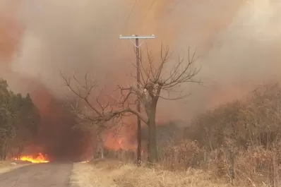 Jujuy: Los incendios forestales arrasan con más de 150 hectáreas
