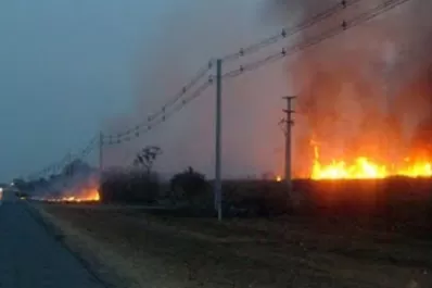 Juntan firmas en la web para detener la quema de cañaverales en Tucumán