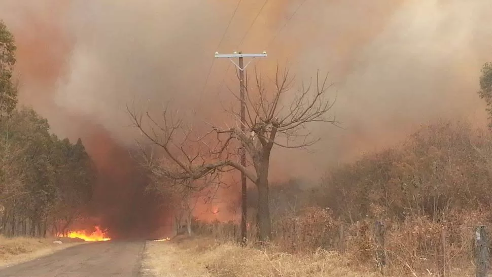 ALARMA. El fuego está llegando a la zona urbana de Higuerillas. FOTO TOMADA DE FACEBOOK.COM/FUNDACION NARICES FRÍAS JUJUY