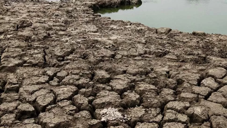 DRAMATICO. El gobierno nacional declaró la emergencia por sequía en Salta. FOTO TOMADA DE ELTRIBUNO.INFO

