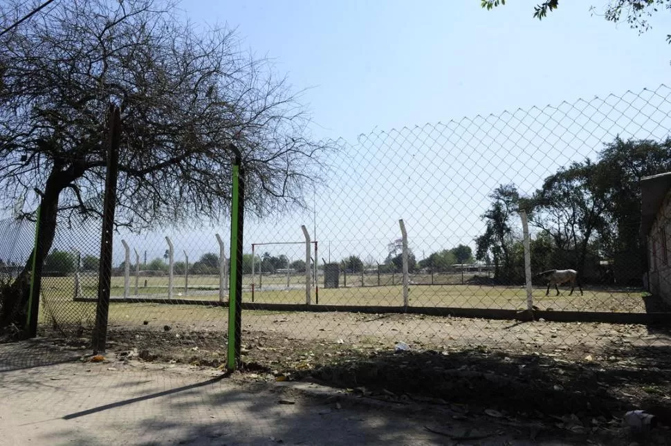 SIN AROS, TABLEROS NI CONTRAPISO. El Unión Muñecas está rodeado por tela alambrada. Cuando no hay partido, caballos pastan en la cancha de fútbol. LA GACETA / FOTO DE JORGE OLMOS SGROSSO 