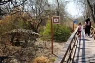 Conectate con la naturaleza y la prehistoria