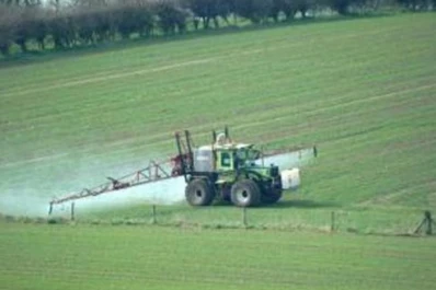 En El Tajamar arrastran deudas, pero no faltarán los insumos