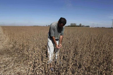Ante la situación, aconsejan armar el esquema productivo