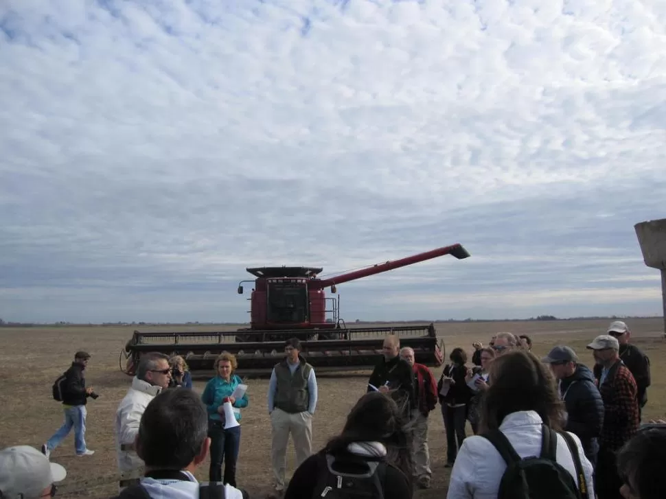 ACTIVIDADES. Un grupo de periodistas especializados en el trabajo agrario, recorre un cultivo ubicado en la zona núcleo del país.  