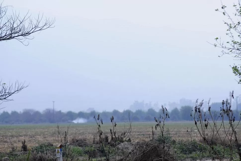 DESDE LEJOS NO SE VE. El campo siente los efectos del déficit hídrico. El polvo en suspensión resta visibilidad.  