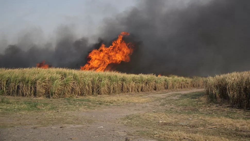 DESCONTROLADO. Las llamas se expandieron a causa del viento. LA GACETA/ FOTO DE OSCAR FERRONATO.