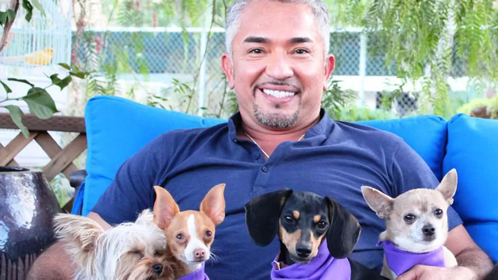 ESPECIALISTA. César Millán enseña técnica para dominar a los perros. FOTO TOMADA DE LOSANGELESHOY.COM