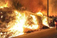 Miles de hectáreas se queman en Santiago del Estero