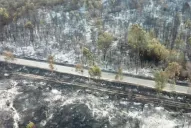 Jujuy: Temen que el fuego llegue al Parque Nacional Calilegua