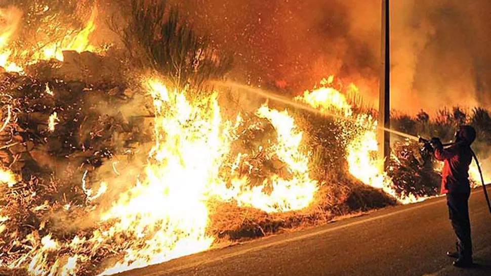 SEQUÍA Y CALOR. El monte santiagueño ardió, tras meses sin lluvias. FOTO TOMADA DE ELLLIBERAL.COM