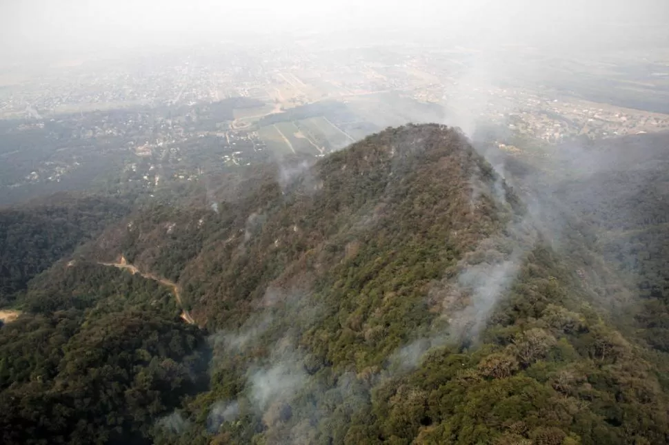 EL MORRO. Los focos de incendio se localizaron en ambas laderas. Las copas de los árboles no permitían ver las llamas. El verde engaña: cerca del suelo se nota la sequía. LA GACETA / FOTOS DE ALVARO MEDINA