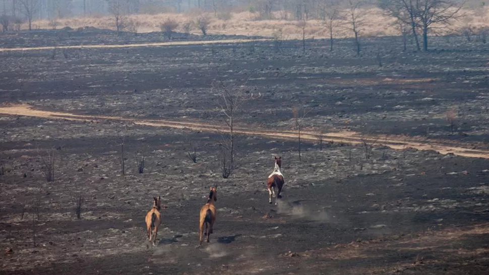 SOLO CENIZAS. Así quedó la zona afectada por el fuego. FOTO TOMADA DE LAVOZ.COM.AR/NELSON TORRES