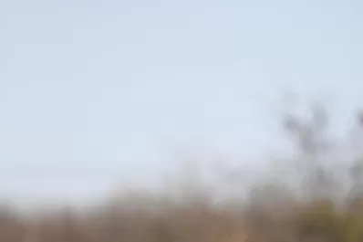 Con los cambios ante Arsenal, Díaz busca dosificar el esfuerzo