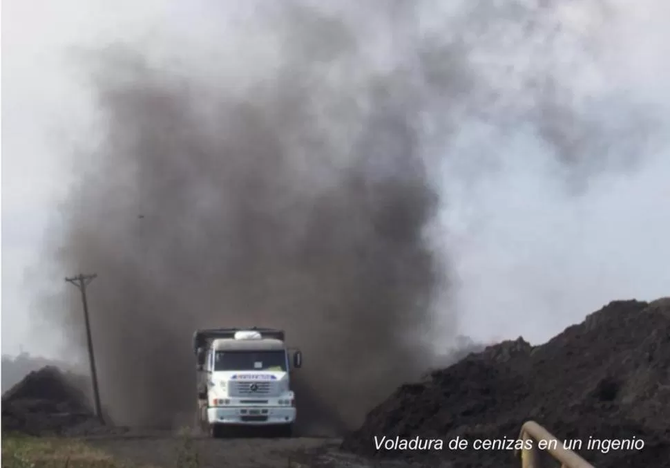 POLVO EN EL AIRE. Camiones en los caminos de azucareros, en la provincia. DIRECCIóN DE RECURSOS HíDRICOS