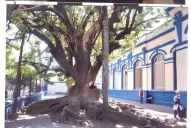 Moreno, un benefactor olvidado