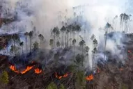 Controlaron el último foco de incendio en Córdoba