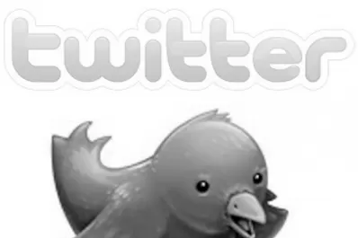 La red social del pajarito quiere volar alto en Wall Street