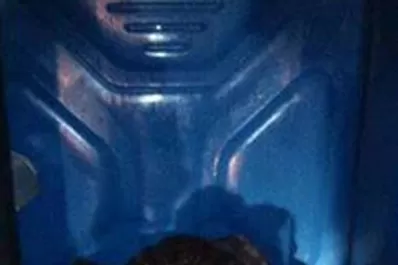 Encontraron un joven cubierto de materia fecal en el recital del Indio Solari