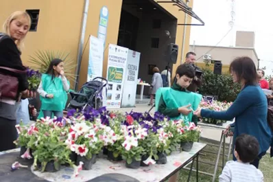 Canjearon botellas por plantines florales