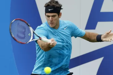 Del Potro recibirá el llamado para su vuelta al equipo argentino