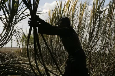 El Gobierno, decidido a erradicar el trabajo en negro
